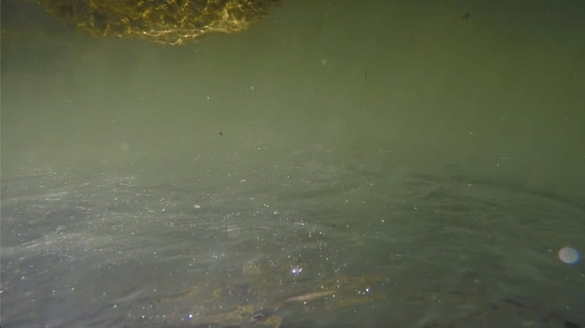 Still from clusters (stream), inverted underwater scene, sun rays shine from bottom of the frame.